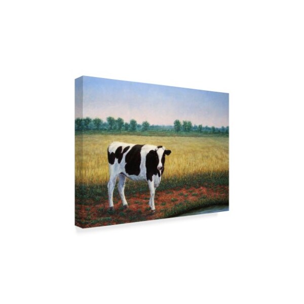 James W. Johnson 'Happy Holstein' Canvas Art,24x32